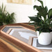Denali Table Centerpiece & Wood Wall Hanging - Birch & Buffalo